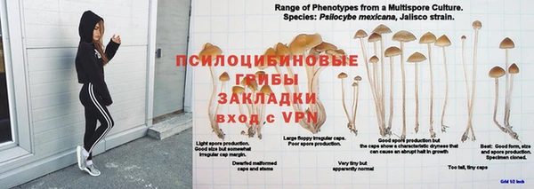 СК Горнозаводск